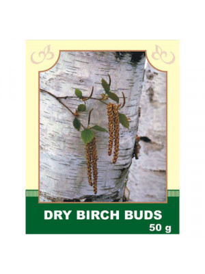 Dry Birch Buds