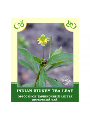Imdian Kidney Tea Leaf (Ortthosiphon) 50g