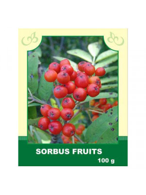 Sorbus Fruits 100 g